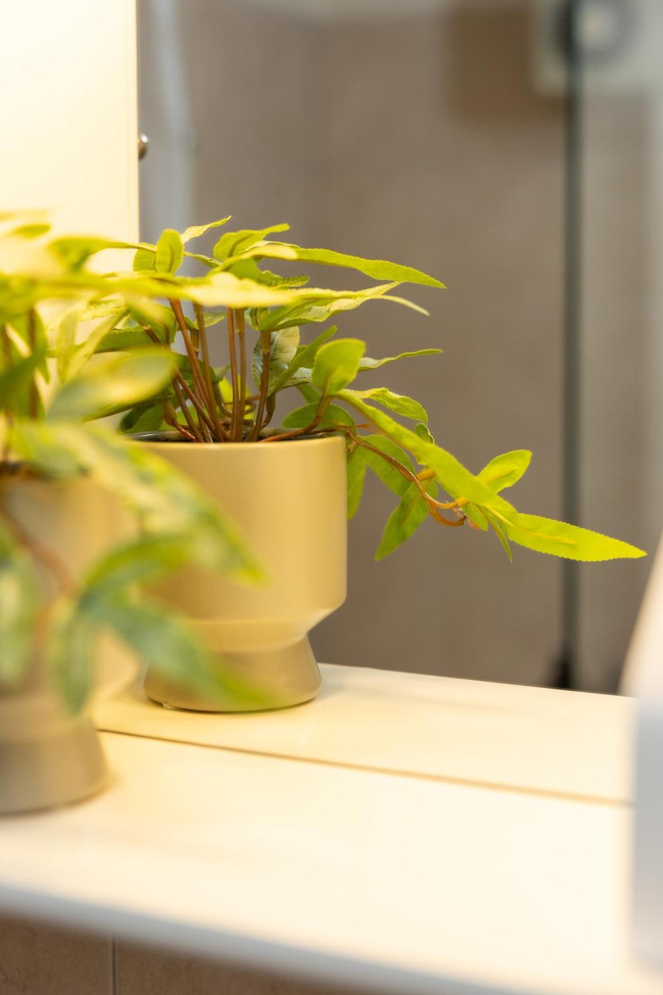 Urban Colors By Binobi! Apartament *